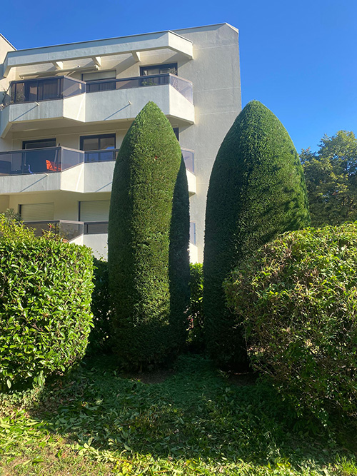 Professionnels - Junet Paysage dans l'Ouest Lyonnais