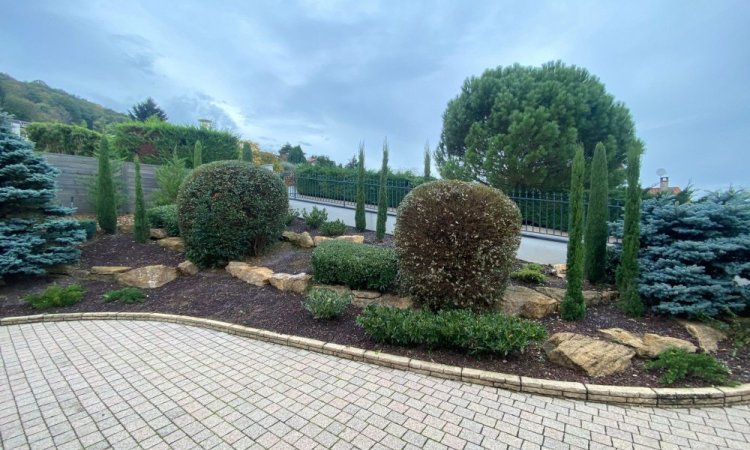 Entretien d'espace vert - Junet Paysage