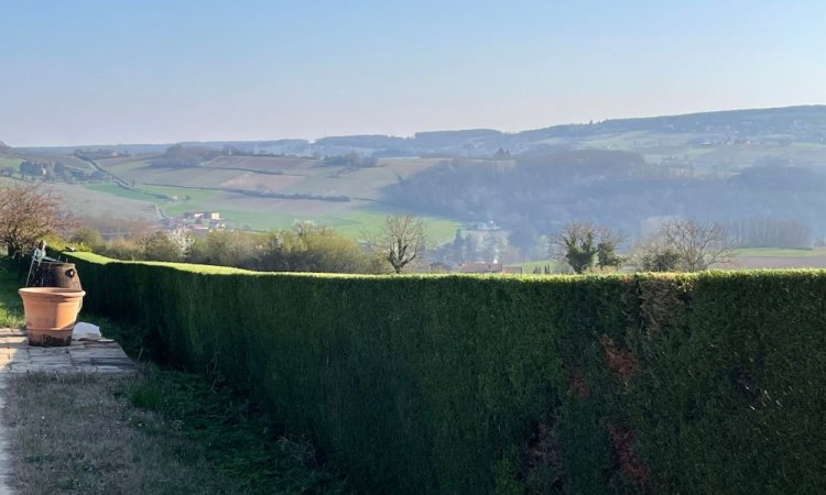 Entretien d'espace vert - Tarare - Junet Paysage